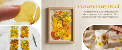 Orange Yellow Pressed Flowers Kit for Resin Bookmark DIY Craft | Kit for resin, bookmark & frame DIY craft