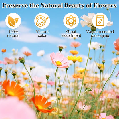 318 PCS Pressed Flowers Butterfly Stickers for Craft, Real Dried Pressed Flowers Bulk Natural Dry Flowers Floral with DIY Butterfly Stickers Tweezers for Art, Resin Mold, Candles, Soap, Jewelry Making