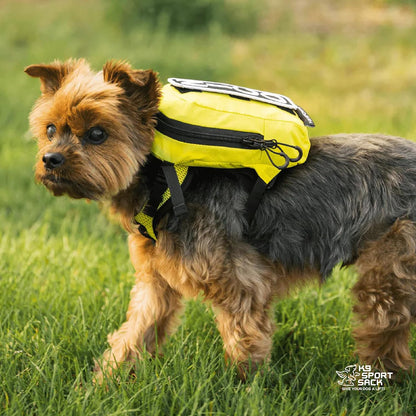 Walk-On - Medium, Buttercup Yellow - Ideal for Dogs with 17-19” Back Length - Lightweight, Packable, Backpack-Style Carrier - Includes Compatible Harness & Storage Bag