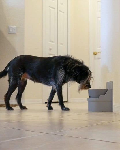Automatic Pet Water Bowl (Cabinet Mount)