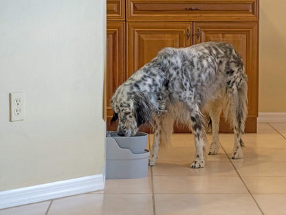 Automatic Pet Water Bowl (Cabinet Mount)