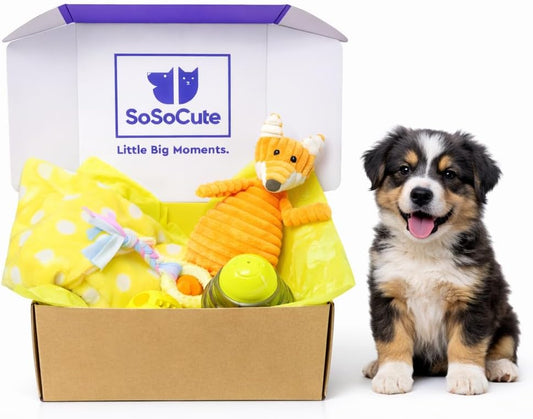 Puppy Starter Kit – 5pc Dog Toy Gift Set for Small Dogs – New Puppy Essentials Gift Box with Blanket, Squeaky Plush, Teething Ring, Treat Ball & Chew Ball (Yellow)