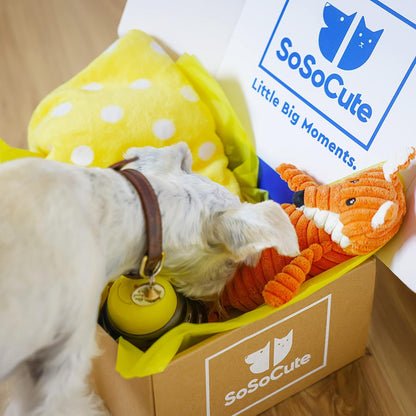 Puppy Starter Kit – 5pc Dog Toy Gift Set for Small Dogs – New Puppy Essentials Gift Box with Blanket, Squeaky Plush, Teething Ring, Treat Ball & Chew Ball (Yellow)