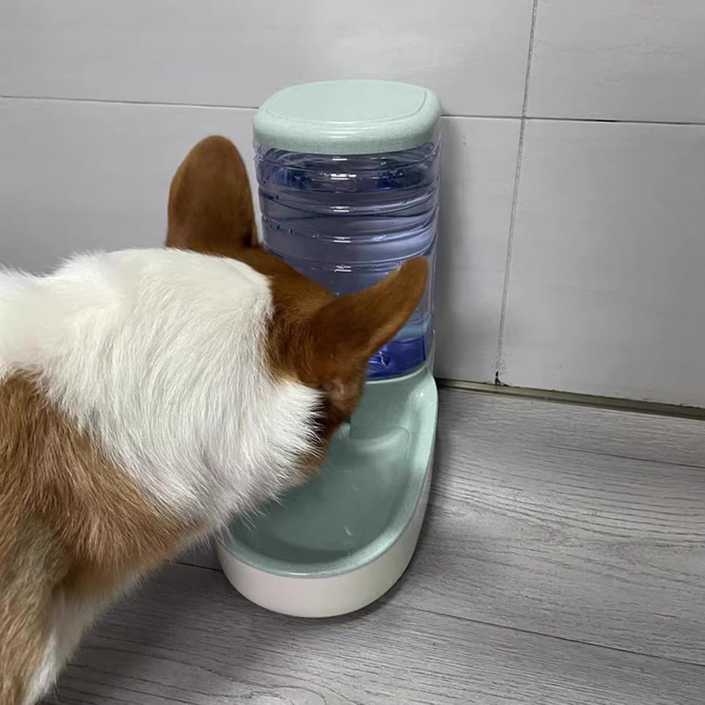 Automatic Pet Water Dispenser - Automatic Cat & Dog Water Bowl, 3.8L Gravity Design, Suitable for Small & Medium-Sized Pets (Green)