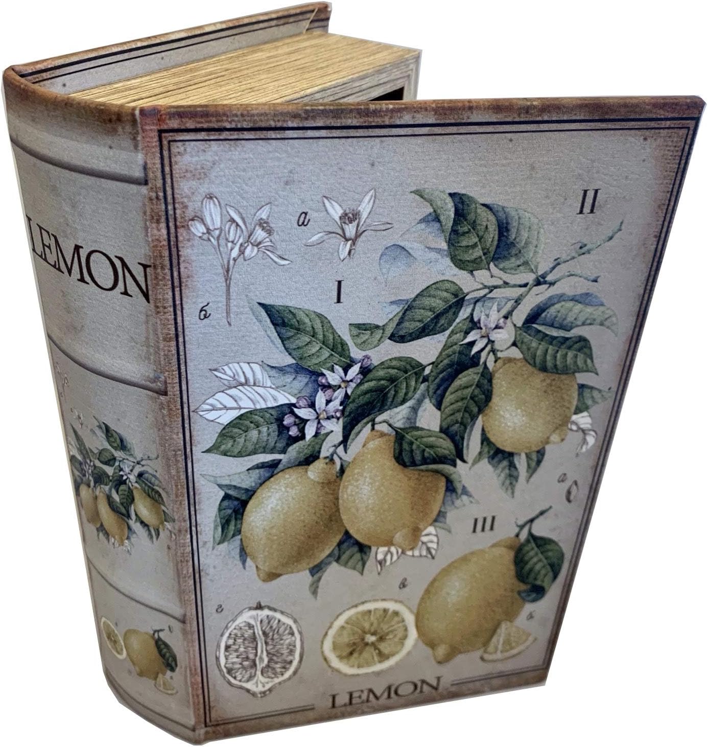 LEMON Decorative Book Box Stash Box Leather Over Wood Lemon Plant Handmade Keepsake
