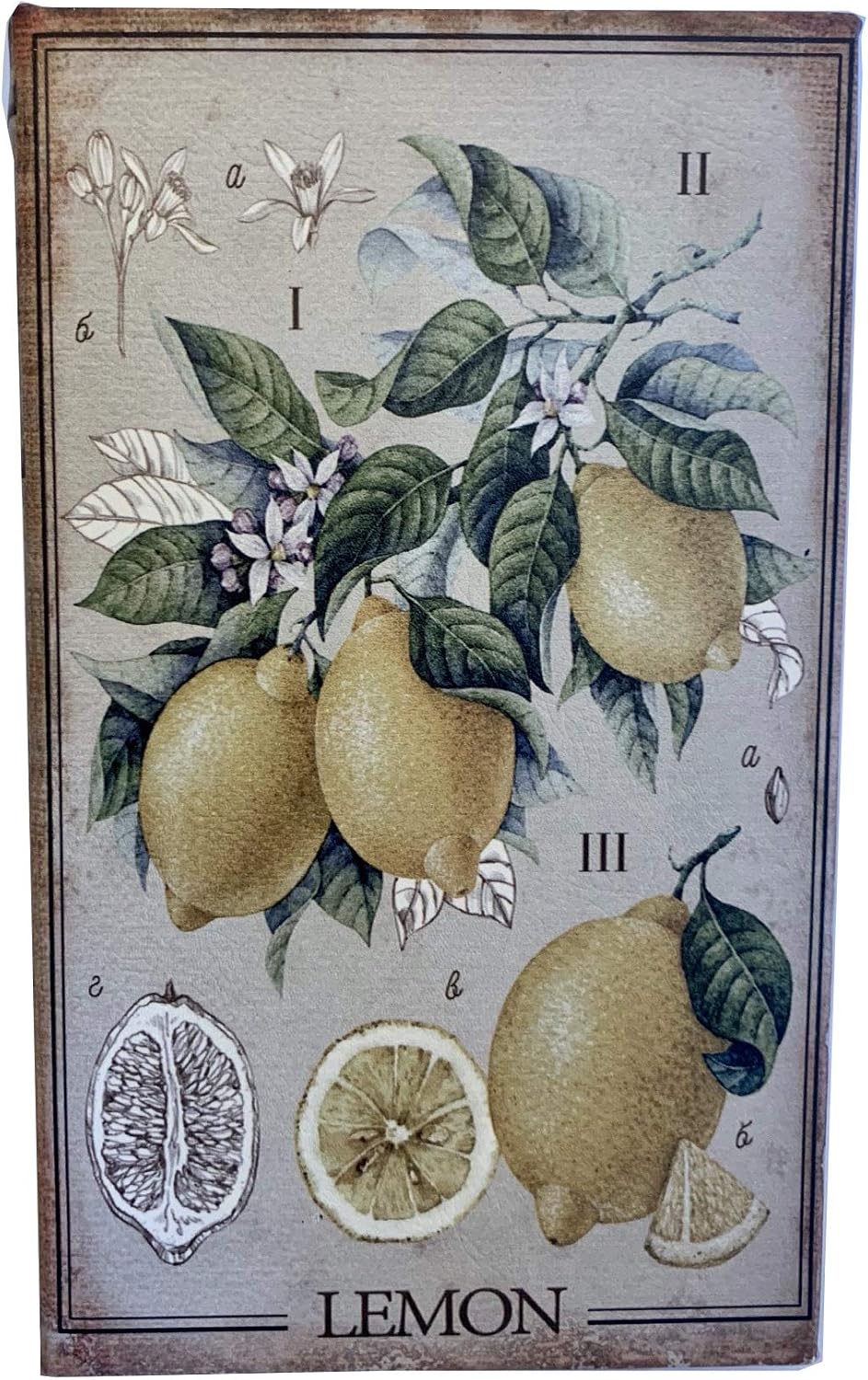 LEMON Decorative Book Box Stash Box Leather Over Wood Lemon Plant Handmade Keepsake