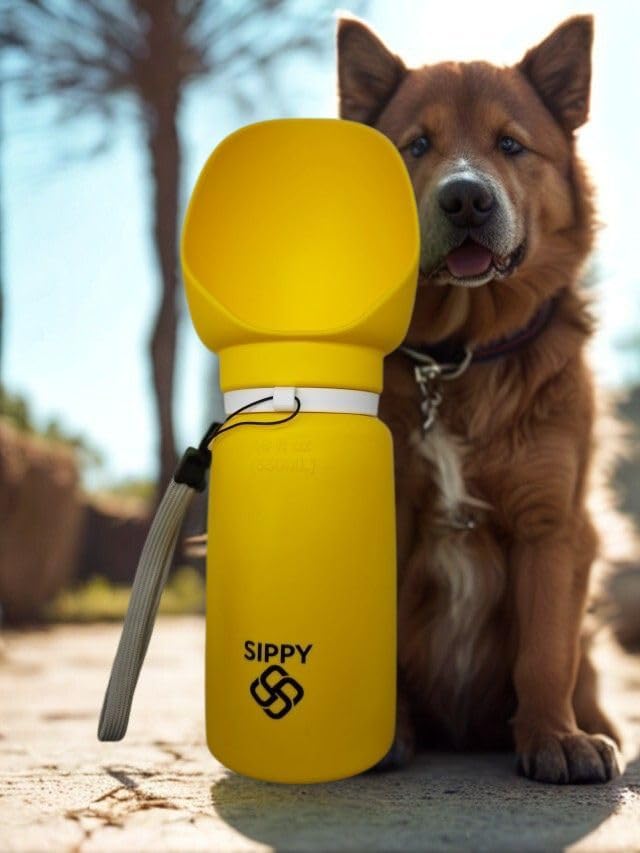 Sippy Cup Portable Foldable Pet Water Bottle – Compact Collapsible Dog & Cat Travel Cup – Food-Grade Silicone & PP, BPA-Free – Leak-Proof for Walking, Travel & Outdoor Use - Sun Yellow