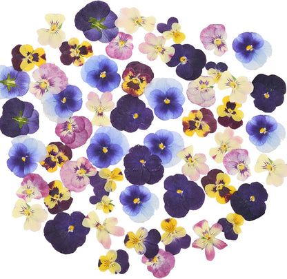 48Pcs Natural Dried Pressed Flowers for Cake Topper Decorating Mix Real Dry Flower for Resin Jewelry Making DIY Art Crafts