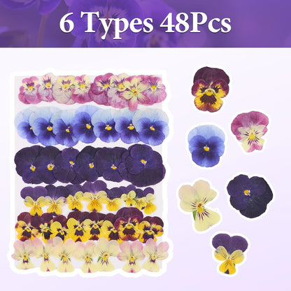 48Pcs Natural Dried Pressed Flowers for Cake Topper Decorating Mix Real Dry Flower for Resin Jewelry Making DIY Art Crafts