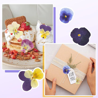 48Pcs Natural Dried Pressed Flowers for Cake Topper Decorating Mix Real Dry Flower for Resin Jewelry Making DIY Art Crafts