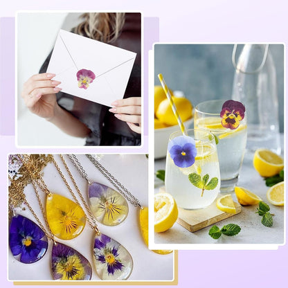 48Pcs Natural Dried Pressed Flowers for Cake Topper Decorating Mix Real Dry Flower for Resin Jewelry Making DIY Art Crafts