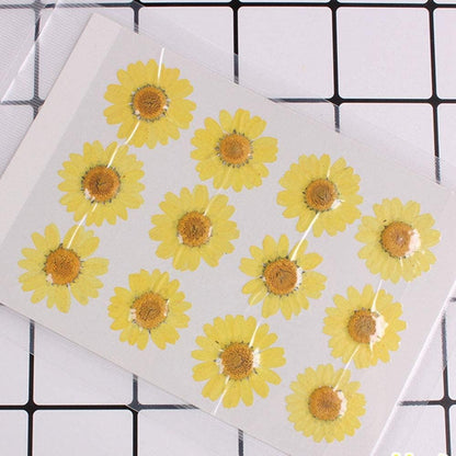 50pcs Natural Dried Daisy Flower, Vacuum Packaging, Pressed Flower for House Decoration, Jewelry Making, Phone case Decoration (Yellow)