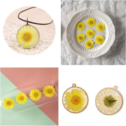 50pcs Natural Dried Daisy Flower, Vacuum Packaging, Pressed Flower for House Decoration, Jewelry Making, Phone case Decoration (Yellow)