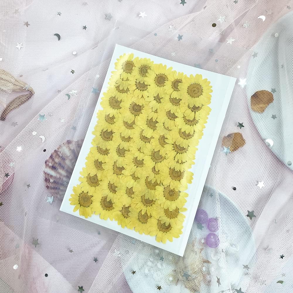 50pcs Natural Dried Daisy Flower, Vacuum Packaging, Pressed Flower for House Decoration, Jewelry Making, Phone case Decoration (Yellow)