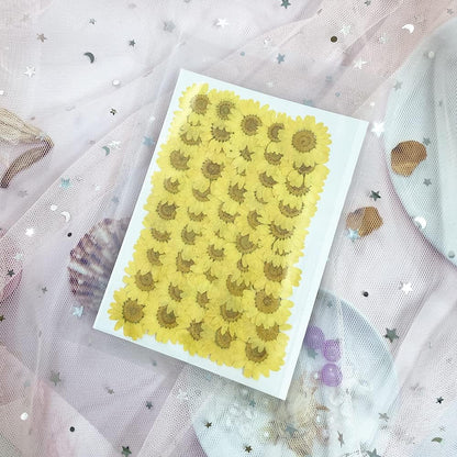 50pcs Natural Dried Daisy Flower, Vacuum Packaging, Pressed Flower for House Decoration, Jewelry Making, Phone case Decoration (Yellow)