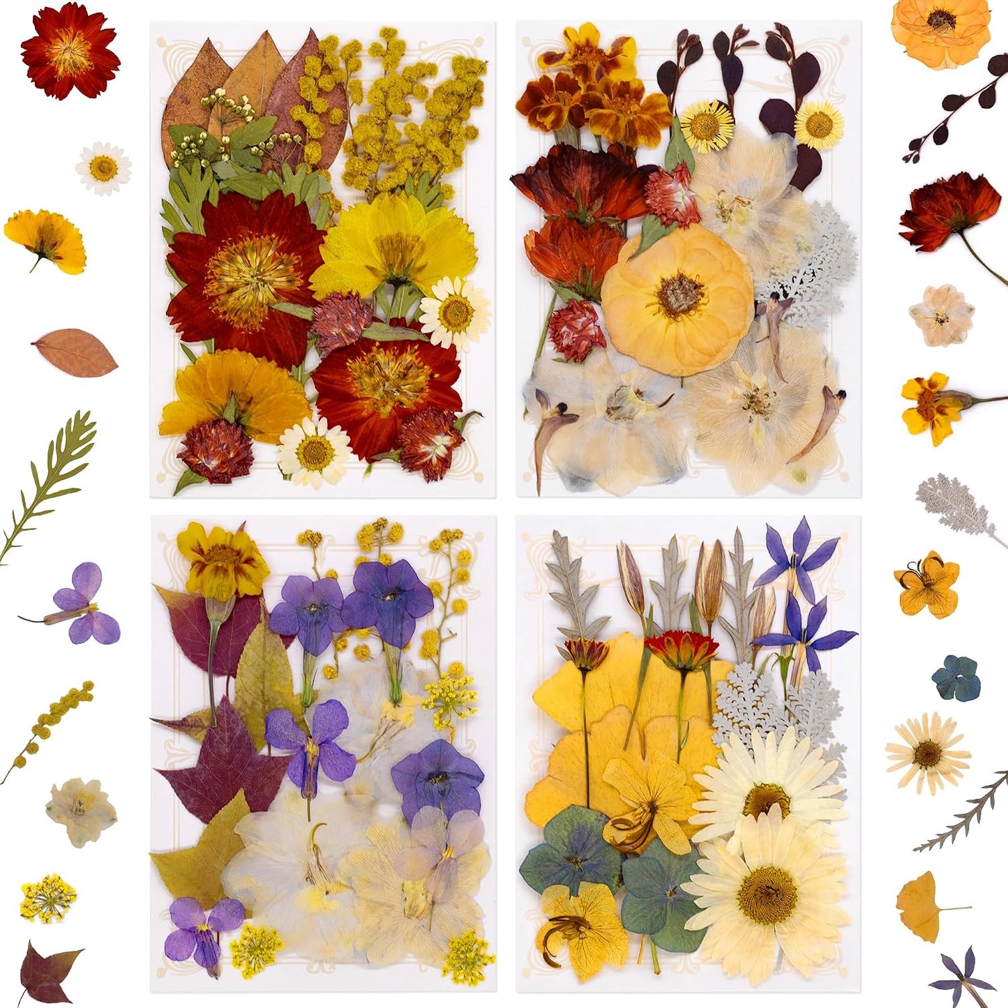 Real Dried Pressed Flowers for Resin Molds, Natural Bulk Floral Leaves | Vacuum Packed Botanical Assortment, Epoxy Jewelry Supplies, Scrapbooking DIY Art Crafts, Candle Soap Making