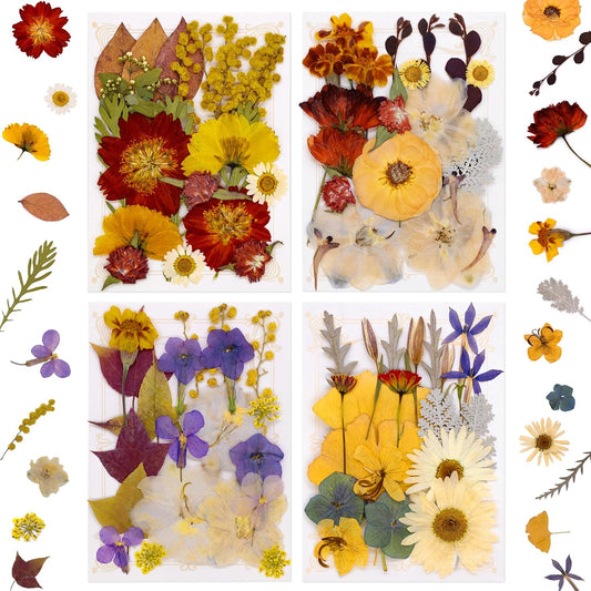 Real Dried Pressed Flowers for Resin Molds, Natural Bulk Floral Leaves | Vacuum Packed Botanical Assortment, Epoxy Jewelry Supplies, Scrapbooking DIY Art Crafts, Candle Soap Making