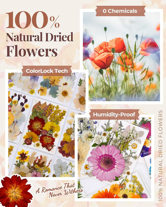 Real Dried Pressed Flowers for Resin Molds, Natural Bulk Floral Leaves | Vacuum Packed Botanical Assortment, Epoxy Jewelry Supplies, Scrapbooking DIY Art Crafts, Candle Soap Making