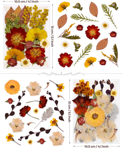 Real Dried Pressed Flowers for Resin Molds, Natural Bulk Floral Leaves | Vacuum Packed Botanical Assortment, Epoxy Jewelry Supplies, Scrapbooking DIY Art Crafts, Candle Soap Making
