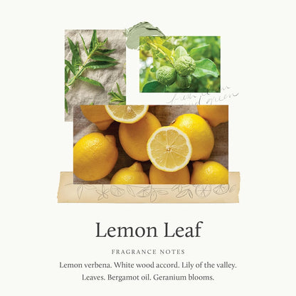 Hand Wash - 15 Fl Oz - Lemon Leaf