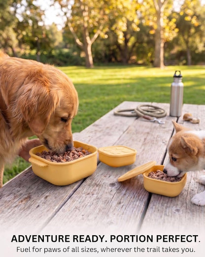 3-Piece Silicone Pet Food Storage Bowl Set (Yellow) with lids, Includes a 304 Stainless Steel Spoon - 22oz,13oz,7oz -Reusable Food-Grade Bowls for Cat & Dog - Fridge, Microwave & Dishwasher Safe