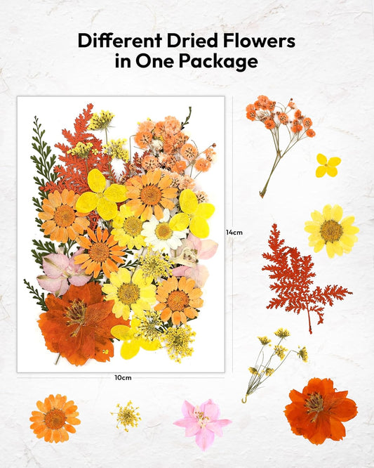 Dried Flowers, 100Pcs Pressed Flowers for Craft Yellow Real Natural Dried Flowers Dry Leaves Kit for DIY Making Crafts Resin Soap Candle Scrapbook Supplies Card Making Jewelry