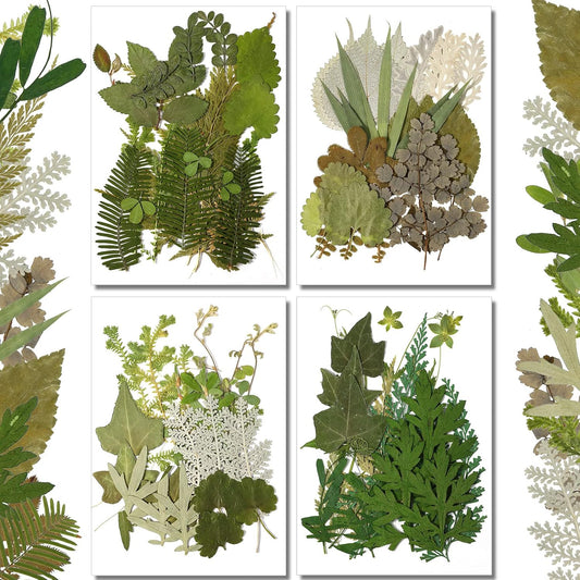 84 Pieces Dried Pressed Leaves Flowers for Resin Mini Dried Flowers for Crafts Greenery Assorted for Art DIY Handmade Bookmarks 4 Bags(Vivid Style)