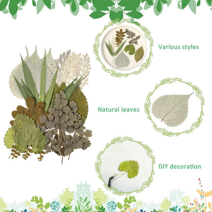 84 Pieces Dried Pressed Leaves Flowers for Resin Mini Dried Flowers for Crafts Greenery Assorted for Art DIY Handmade Bookmarks 4 Bags(Vivid Style)