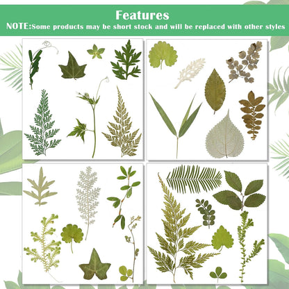 84 Pieces Dried Pressed Leaves Flowers for Resin Mini Dried Flowers for Crafts Greenery Assorted for Art DIY Handmade Bookmarks 4 Bags(Vivid Style)