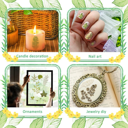 84 Pieces Dried Pressed Leaves Flowers for Resin Mini Dried Flowers for Crafts Greenery Assorted for Art DIY Handmade Bookmarks 4 Bags(Vivid Style)
