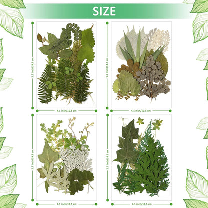 84 Pieces Dried Pressed Leaves Flowers for Resin Mini Dried Flowers for Crafts Greenery Assorted for Art DIY Handmade Bookmarks 4 Bags(Vivid Style)