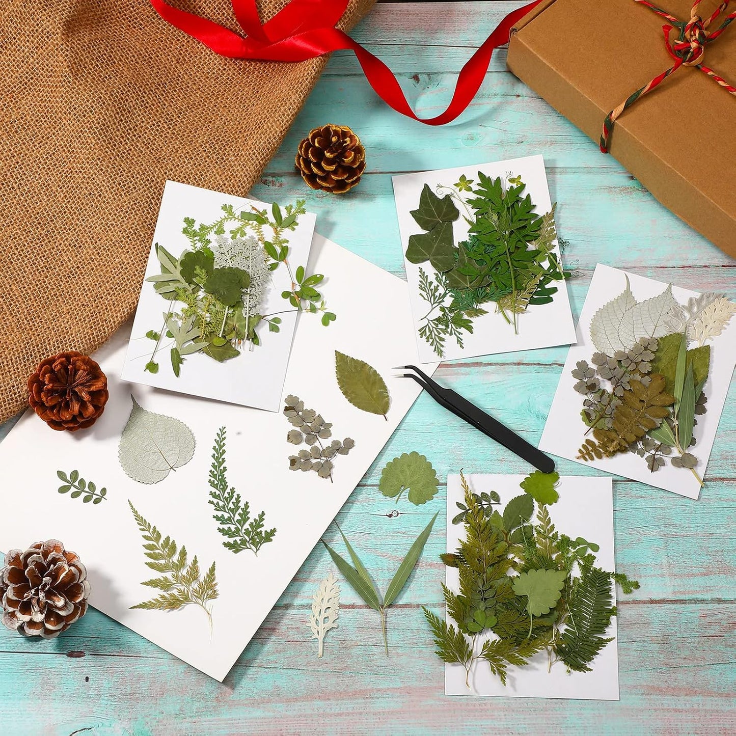 84 Pieces Dried Pressed Leaves Flowers for Resin Mini Dried Flowers for Crafts Greenery Assorted for Art DIY Handmade Bookmarks 4 Bags(Vivid Style)