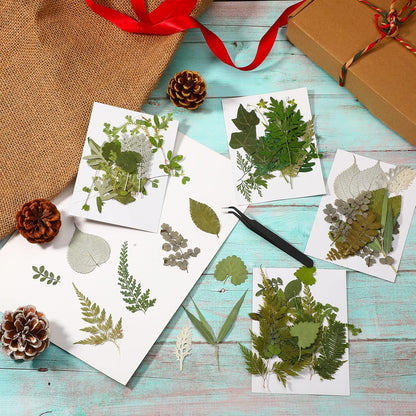 84 Pieces Dried Pressed Leaves Flowers for Resin Mini Dried Flowers for Crafts Greenery Assorted for Art DIY Handmade Bookmarks 4 Bags(Vivid Style)