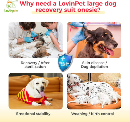 Dog Recovery Suit, Leg Wrap E-Collar Alternative for Large Medium Dogs, Abdominal Post-Surgery Care, Wide Stripe, Red Yellow, XL