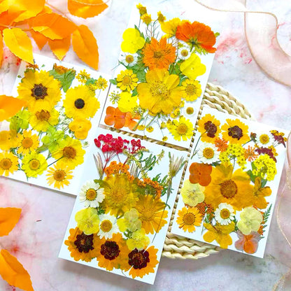 94 Pcs Yellow Pressed Dried Flowers for Resin, Real Natural Bulk Dry Wildflowers Leaves Perfect for Epoxy Molds, DIY Crafts, Home Decor, Soap Candles Jewelry Making