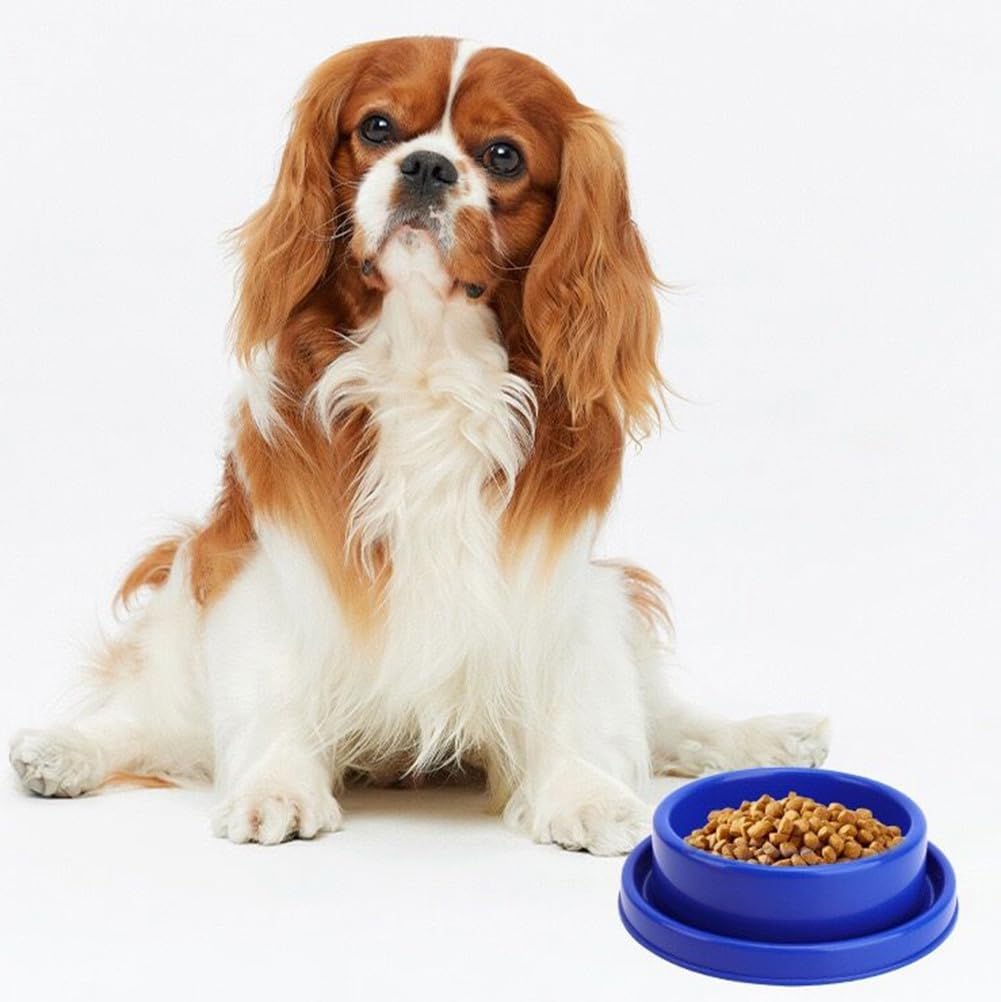 Ants Away Dog Bowl Cat Puppy Food Bowls Round No Spill Yellow M | Ant proof, safe food-grade plastic, anti-slide bottom, ant-block moat barrier, standard feeding size for small to medium dogs