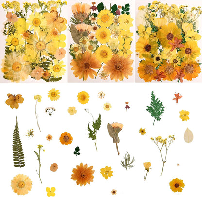 100 PCS Yellow Pressed Dried Flowers and Leaves with Tweezers | Natural, For Resin, For Candle, For Jewelry, For Scrapbooking & DIY Crafts