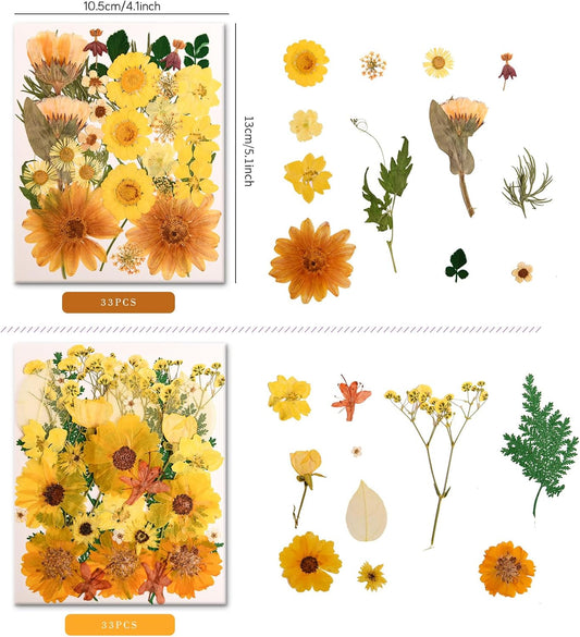 100 PCS Yellow Pressed Dried Flowers and Leaves with Tweezers | Natural, For Resin, For Candle, For Jewelry, For Scrapbooking & DIY Crafts