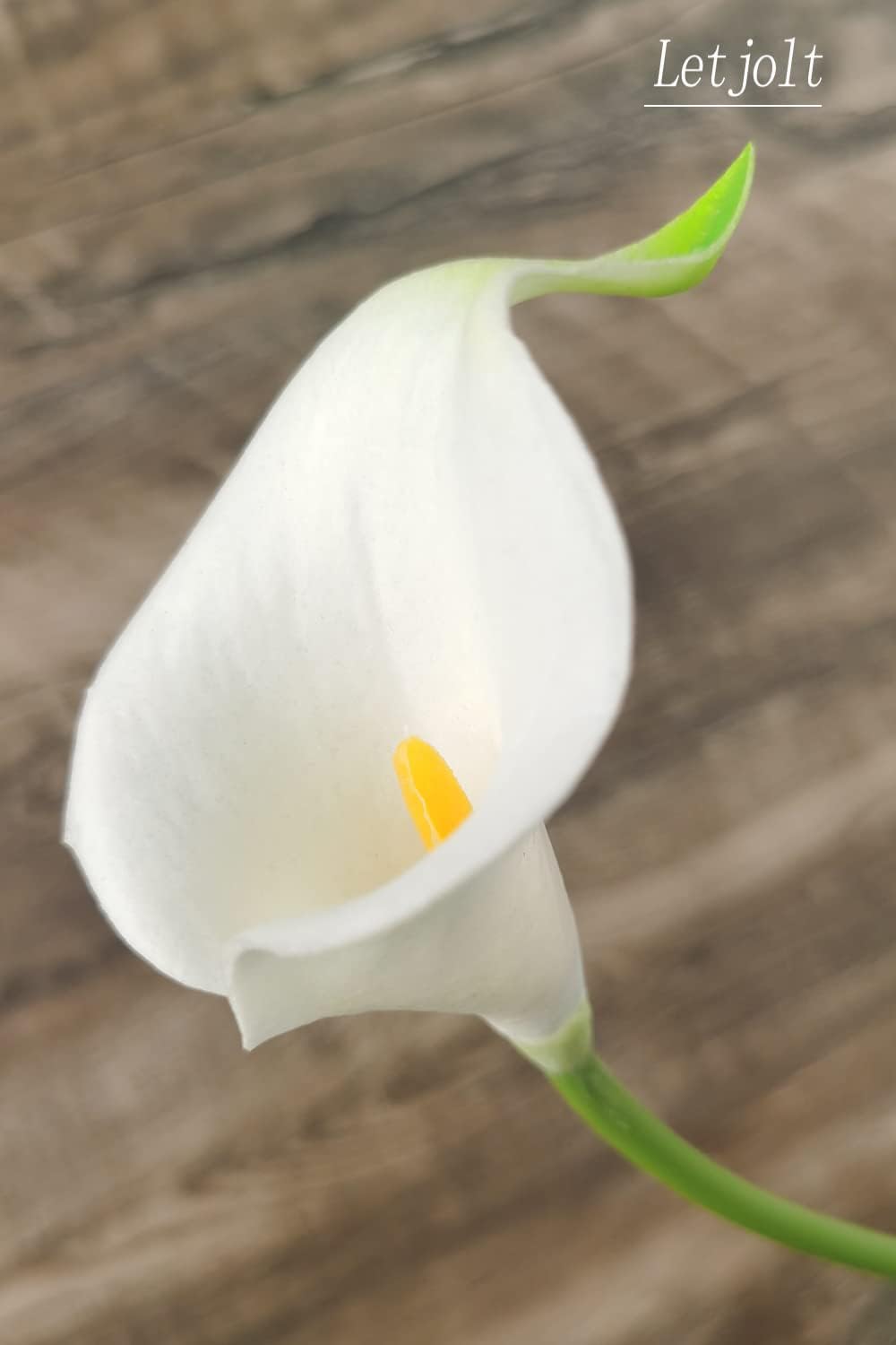 Artificial Calla Lily Flowers 12Pcs Realistic Bouquet | Fake Flower Bouquet, Home Decoration, Wedding Party Decor