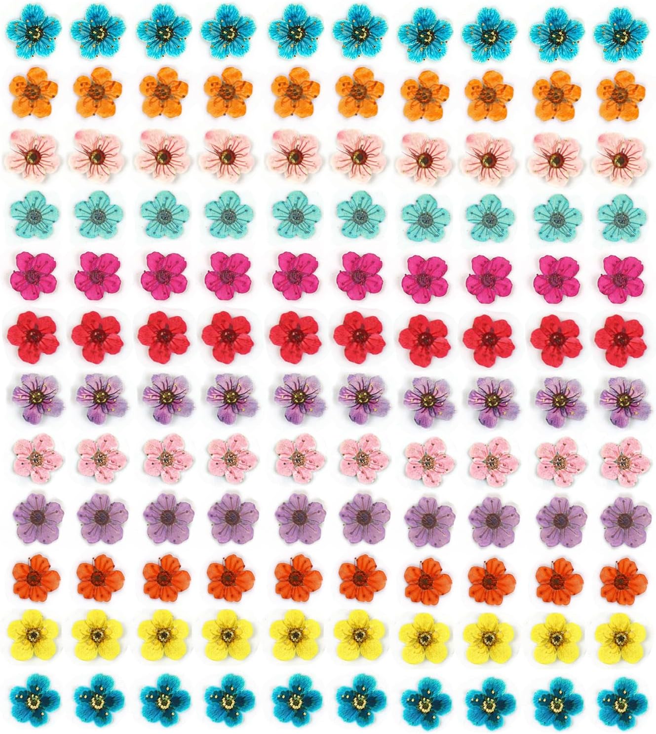 Mini Dried Flowers for Resin Nail Art, 120 Pcs Small Tiny Real Natural Dry Flowers Five Petal Flowers for for Nail Art, Resin Jewelry, Candle Making, Soap Making and DIY Crafts