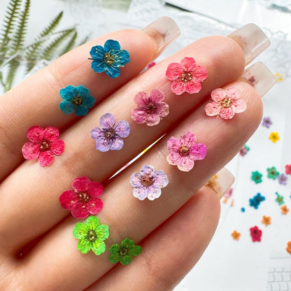 Mini Dried Flowers for Resin Nail Art, 120 Pcs Small Tiny Real Natural Dry Flowers Five Petal Flowers for for Nail Art, Resin Jewelry, Candle Making, Soap Making and DIY Crafts