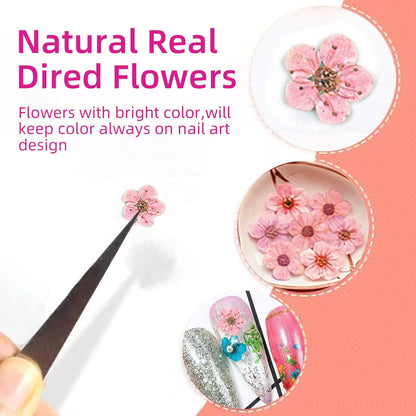 Mini Dried Flowers for Resin Nail Art, 120 Pcs Small Tiny Real Natural Dry Flowers Five Petal Flowers for for Nail Art, Resin Jewelry, Candle Making, Soap Making and DIY Crafts