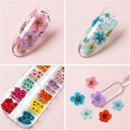 Mini Dried Flowers for Resin Nail Art, 120 Pcs Small Tiny Real Natural Dry Flowers Five Petal Flowers for for Nail Art, Resin Jewelry, Candle Making, Soap Making and DIY Crafts