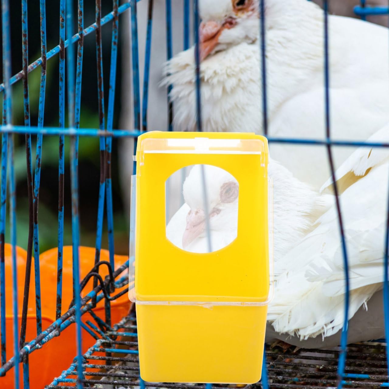 5pcs Yellow Hanging Bird Cage Feeders with Clear Lids Plastic Single Hole Pigeon Feeder Boxes for Parakeet Dove Quail Poultry Food and Water Dispenser Easy Installation and Stable