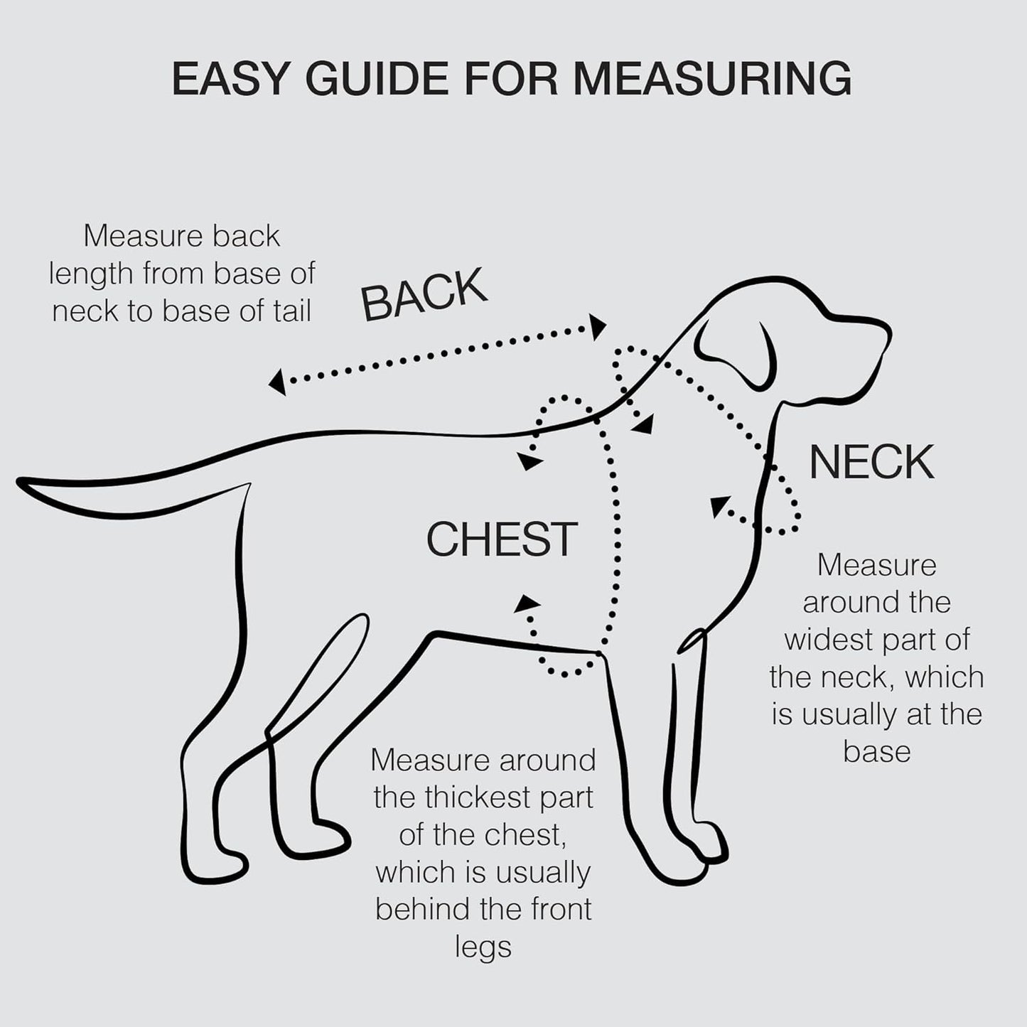 Dog Harness for Small Medium Dogs, Kitten Harness and Leash Set, Step in Harness for Walking, Running, Training, Small Puppy and Cat Vest (Yellow and Blue, XL)