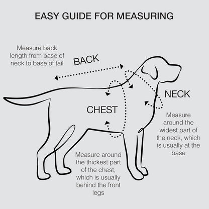 Dog Harness for Small Medium Dogs, Kitten Harness and Leash Set, Step in Harness for Walking, Running, Training, Small Puppy and Cat Vest (Yellow and Blue, XL)