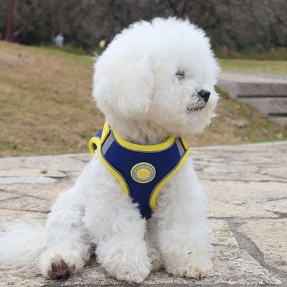 Dog Harness for Small Medium Dogs, Kitten Harness and Leash Set, Step in Harness for Walking, Running, Training, Small Puppy and Cat Vest (Yellow and Blue, XL)