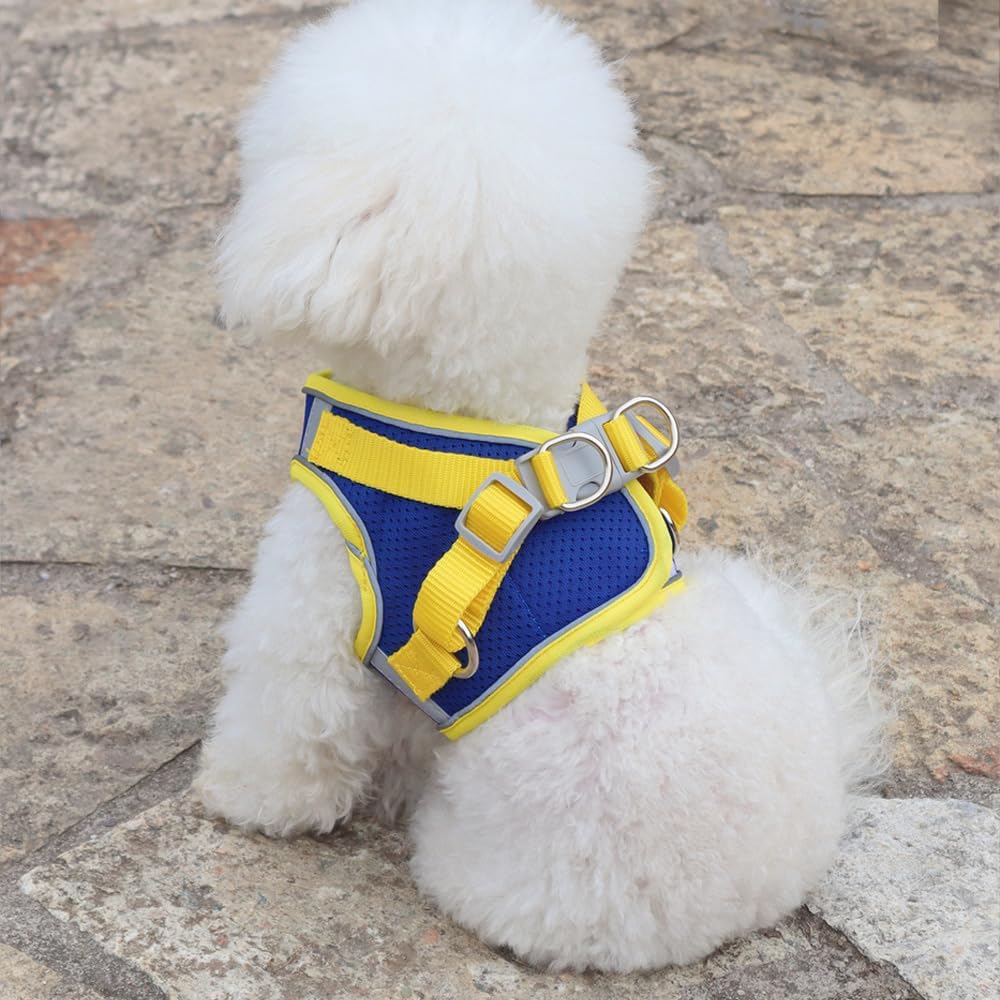 Dog Harness for Small Medium Dogs, Kitten Harness and Leash Set, Step in Harness for Walking, Running, Training, Small Puppy and Cat Vest (Yellow and Blue, XL)