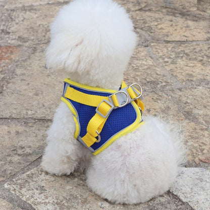 Dog Harness for Small Medium Dogs, Kitten Harness and Leash Set, Step in Harness for Walking, Running, Training, Small Puppy and Cat Vest (Yellow and Blue, XL)