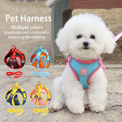 Dog Harness for Small Medium Dogs, Kitten Harness and Leash Set, Step in Harness for Walking, Running, Training, Small Puppy and Cat Vest (Yellow and Blue, XL)